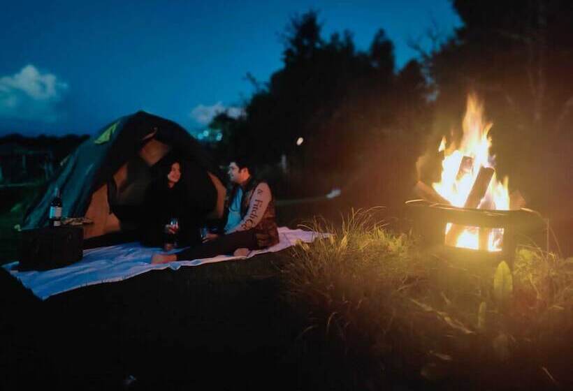 منتجع The Terraces