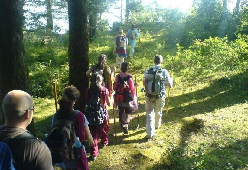 منتجع The Terraces