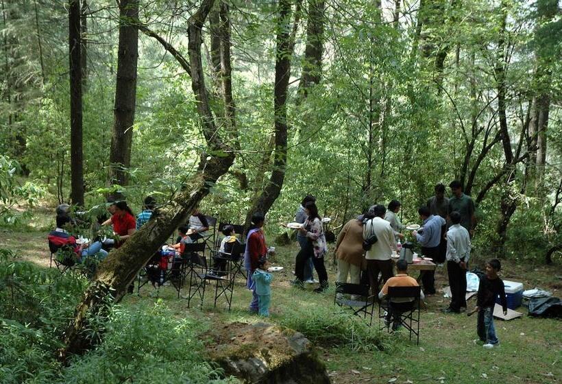منتجع The Terraces