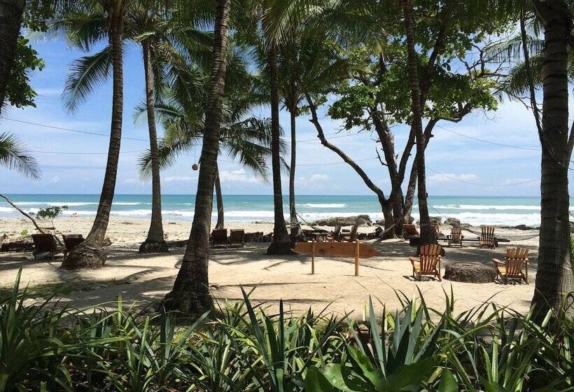 리조트 Tropico Latino