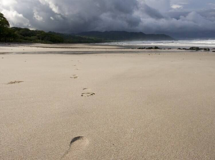 리조트 Tropico Latino