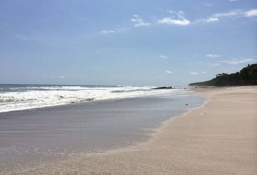 리조트 Tropico Latino