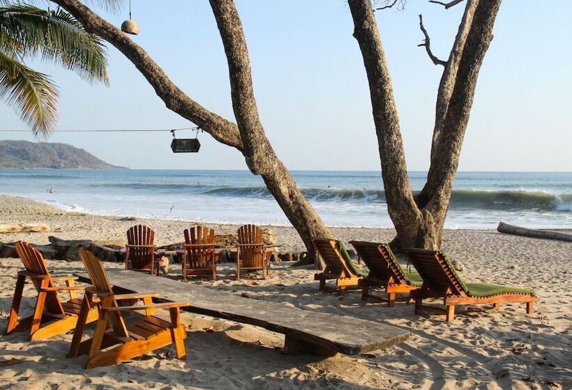 리조트 Tropico Latino