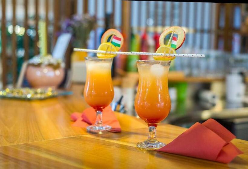 Wellness Hotel Kager Harkány