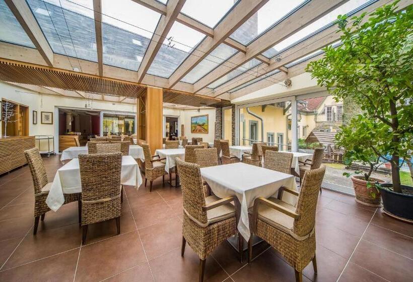 Wellness Hotel Kager Harkány