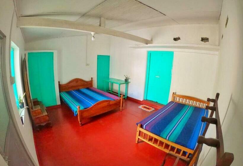 פנסיון Nadeek Guest House