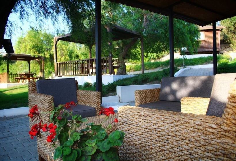 تختخواب و صبحانه Akkum Beach Otel