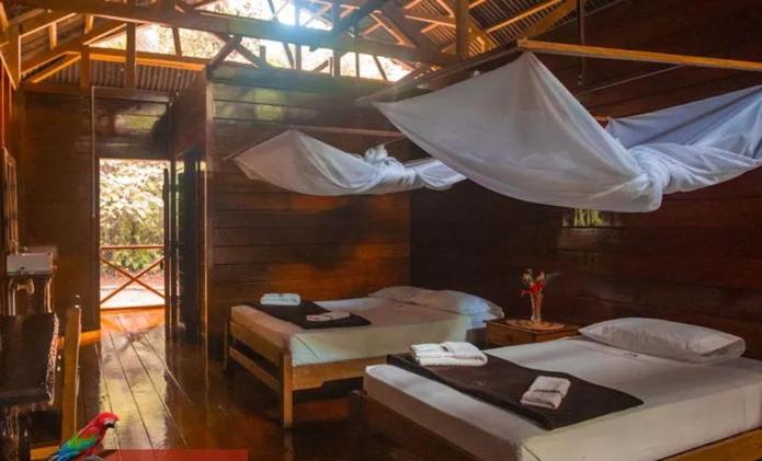 تختخواب و صبحانه Tambopata Edosikiana Lodge