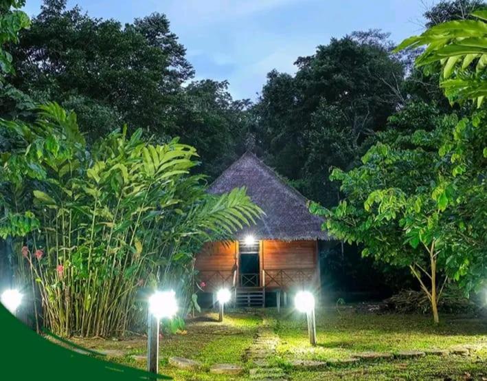 تختخواب و صبحانه Tambopata Edosikiana Lodge