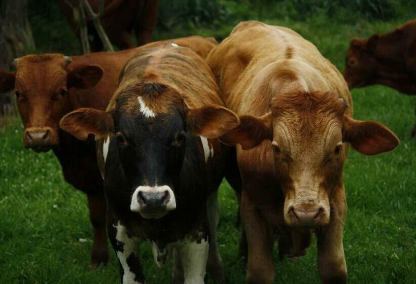 فندق Sheeprun Farmstay