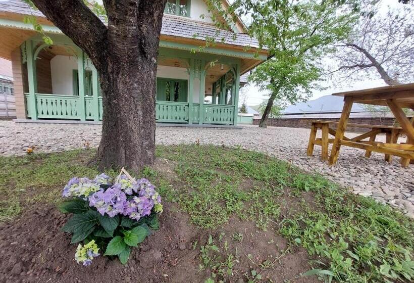 Pensão Dimineți în Cerdac