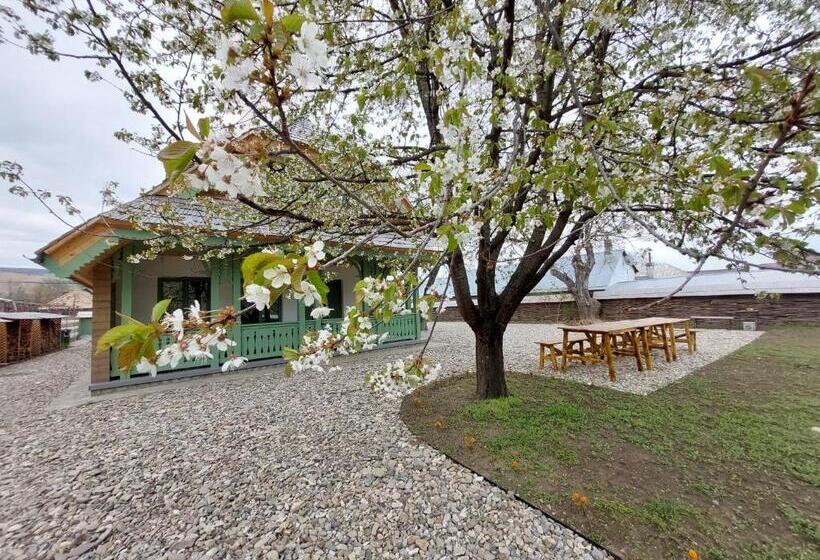 Pensão Dimineți în Cerdac