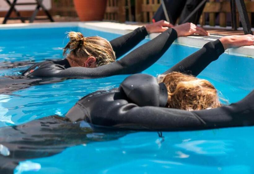 הוסטל Ahoy Surf House