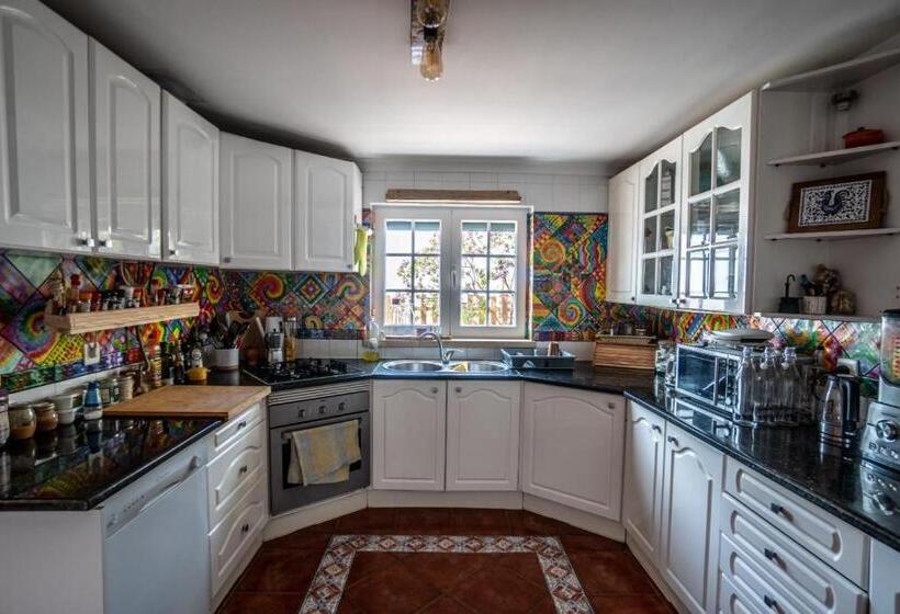 הוסטל Ahoy Surf House