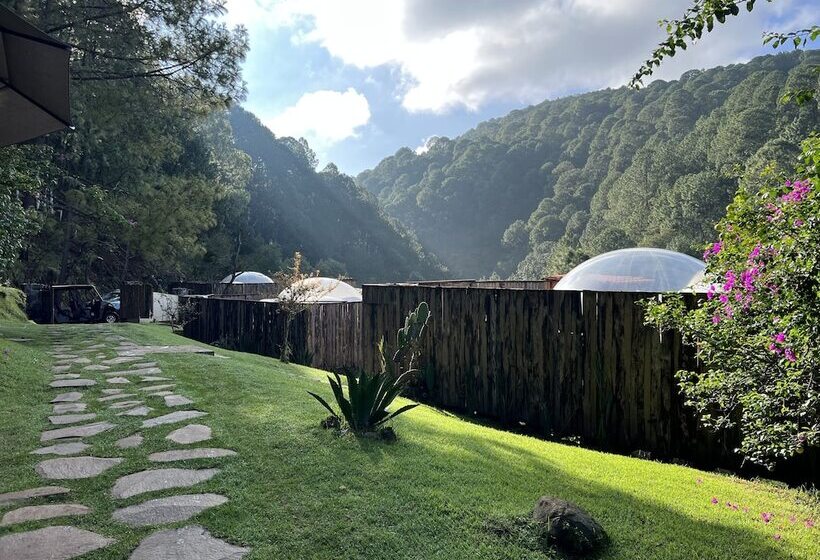 Капсульный Oтель La Estela Bubble Glamping