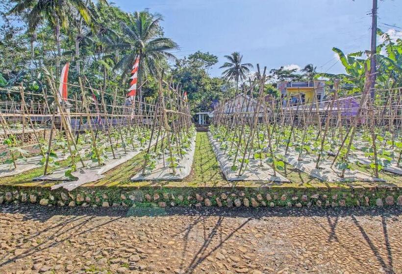 酒店 Spot On 91214 Desa Wisata Pandean