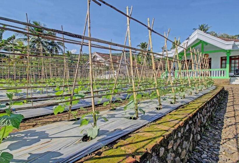 酒店 Spot On 91214 Desa Wisata Pandean