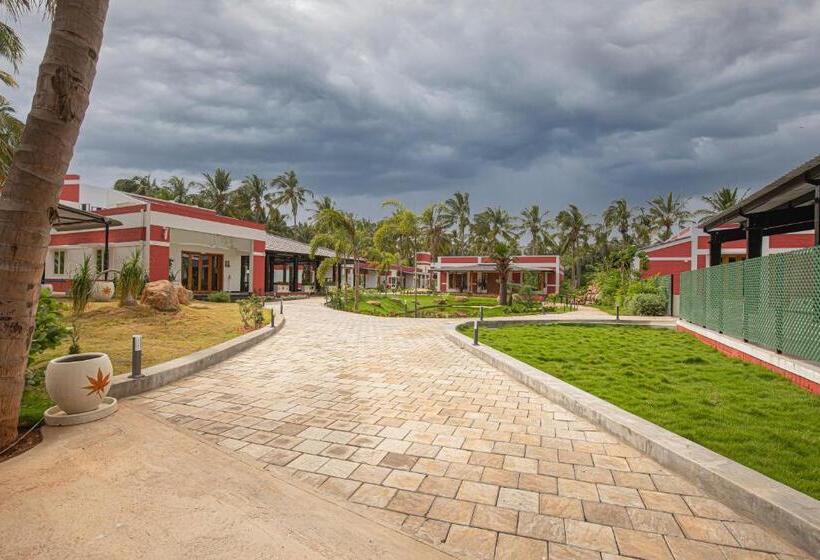 The Croft Resort  Premium Farm Stay