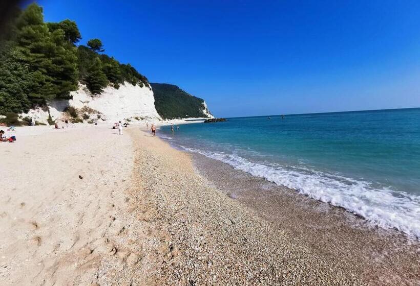 צימר Falesiaconero