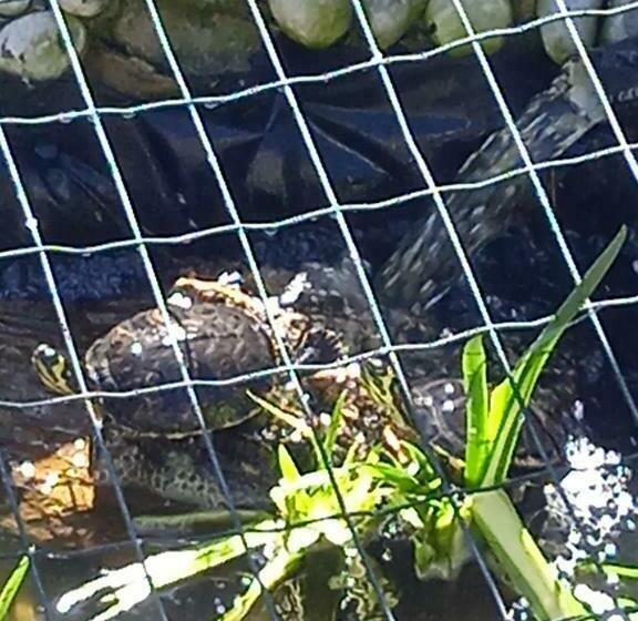 住宿加早餐  Sweet Home Vintage