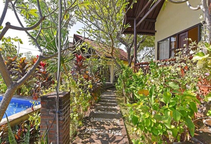 בית מלון כפרי Oyo 91191 Lovina Dolphin Lodge