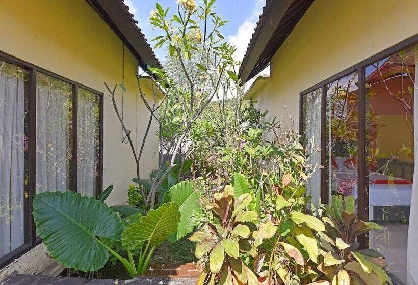 בית מלון כפרי Oyo 91191 Lovina Dolphin Lodge