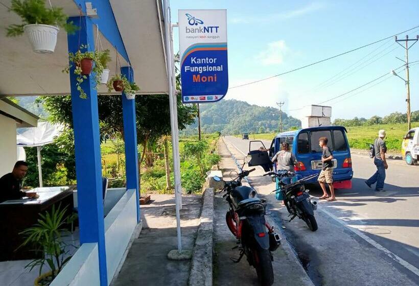 Пансион Daniel Lodge Tour & Travel