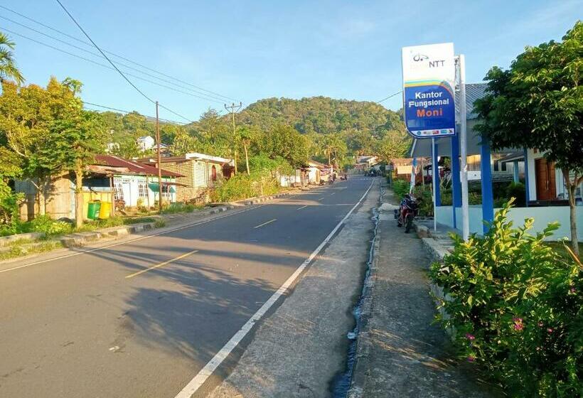 Пансион Daniel Lodge Tour & Travel