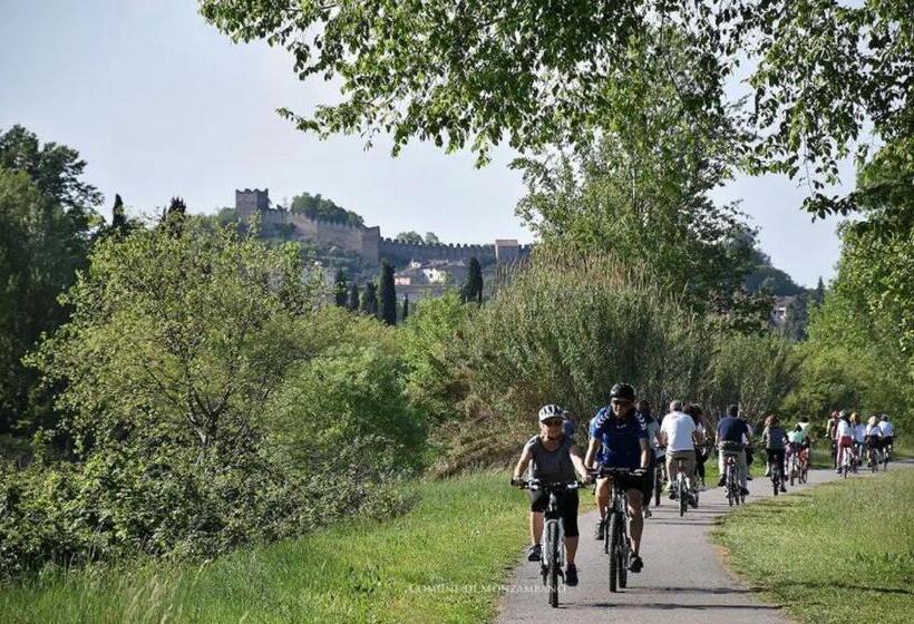 膳宿费 Villa Rita