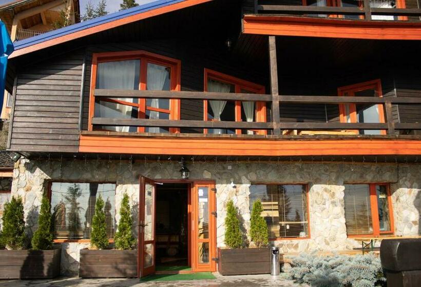 Pensiunea Alpin Ranca