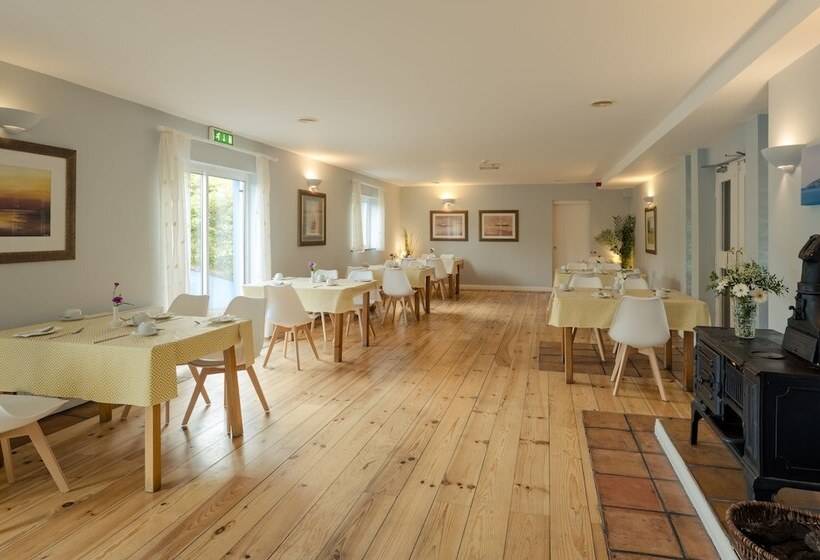 Dingle Harbour Lodge B&b