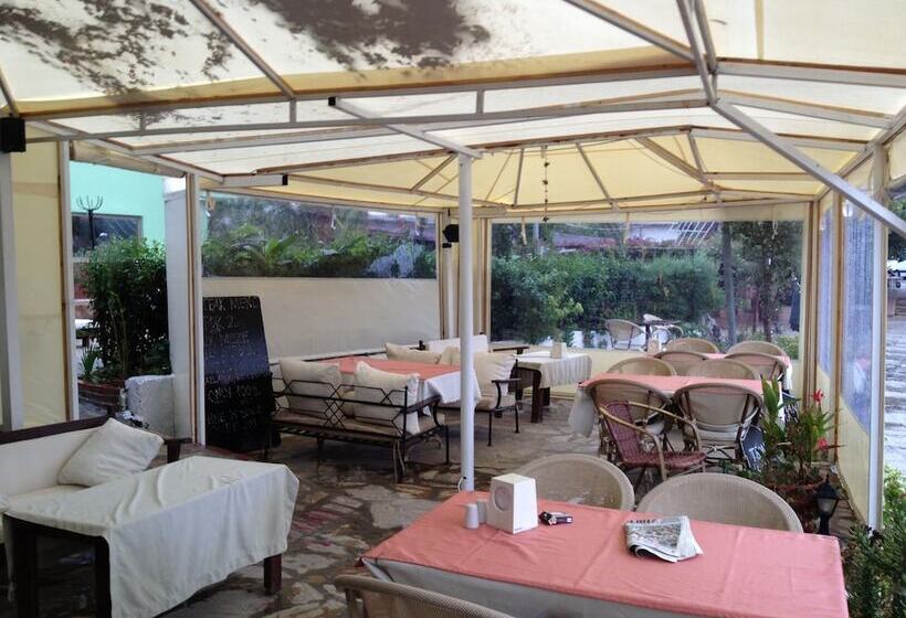 Dalyan Hotel Palmyra   Special Class