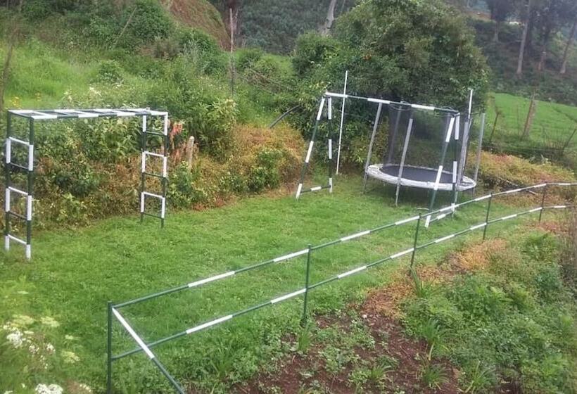 酒店 Berry Hills Resort