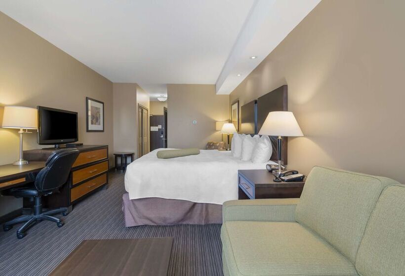 בית מלון כפרי Best Western Plus Moose Jaw