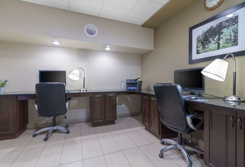 בית מלון כפרי Best Western Plus Moose Jaw