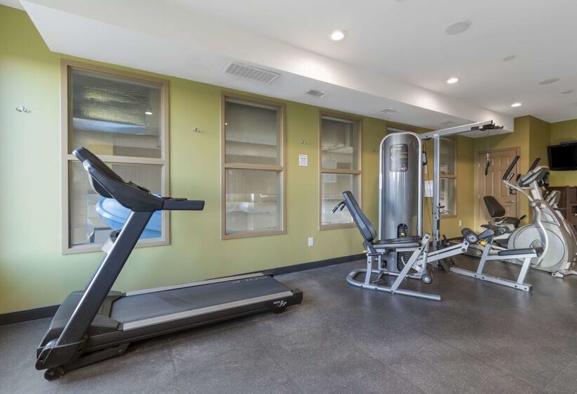 בית מלון כפרי Best Western Plus Moose Jaw