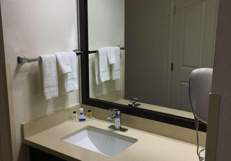 בית מלון כפרי Best Western Plus Moose Jaw