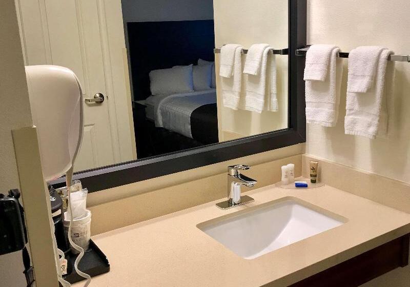 בית מלון כפרי Best Western Plus Moose Jaw