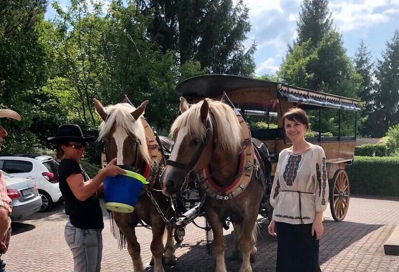 Отель Café Pension Sonnenkanzel