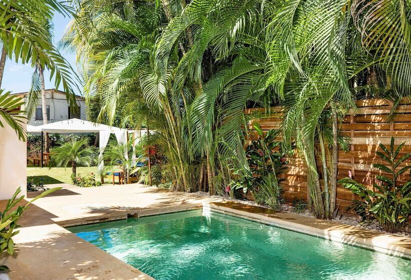 ホテル Cafe Playa Negra