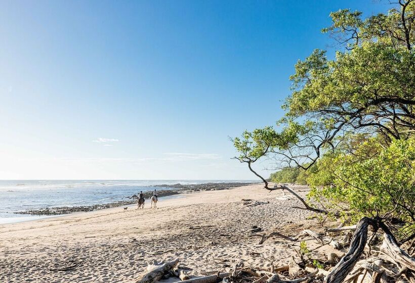 ホテル Cafe Playa Negra