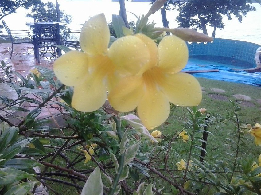 فندق Cala Mia Boutique