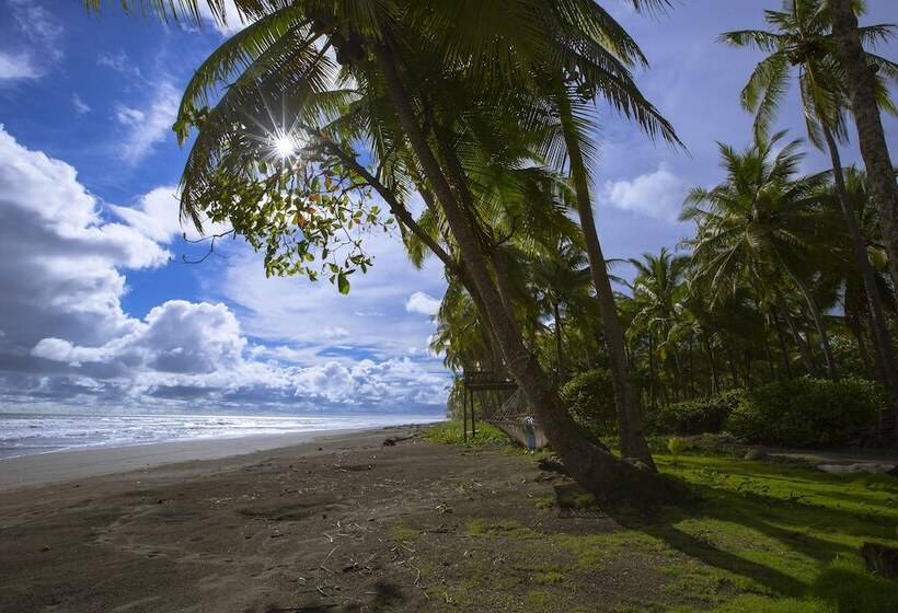 호텔 Clandestino Beach