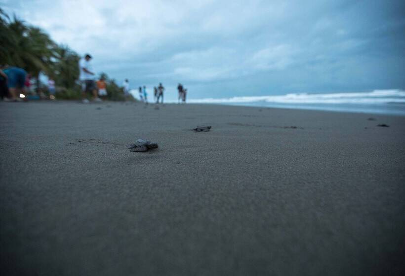Hotel Clandestino Beach