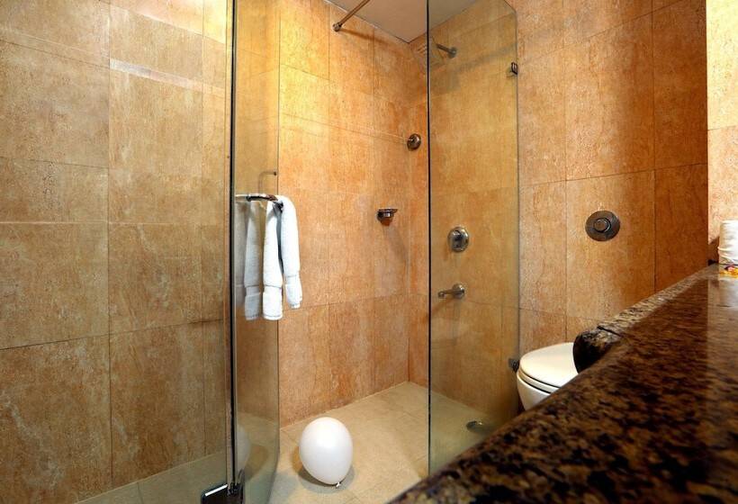 בית מלון כפרי Comfort Inn Alstonia