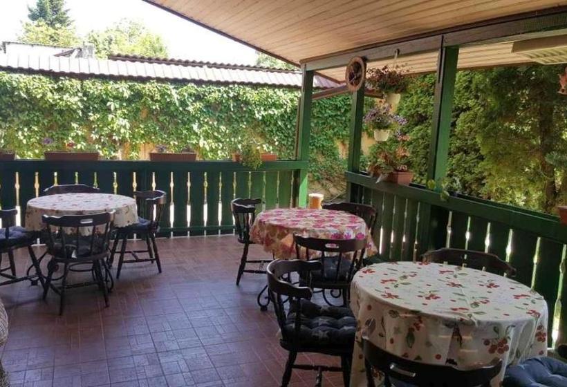 ホテル Pensiunea Doria