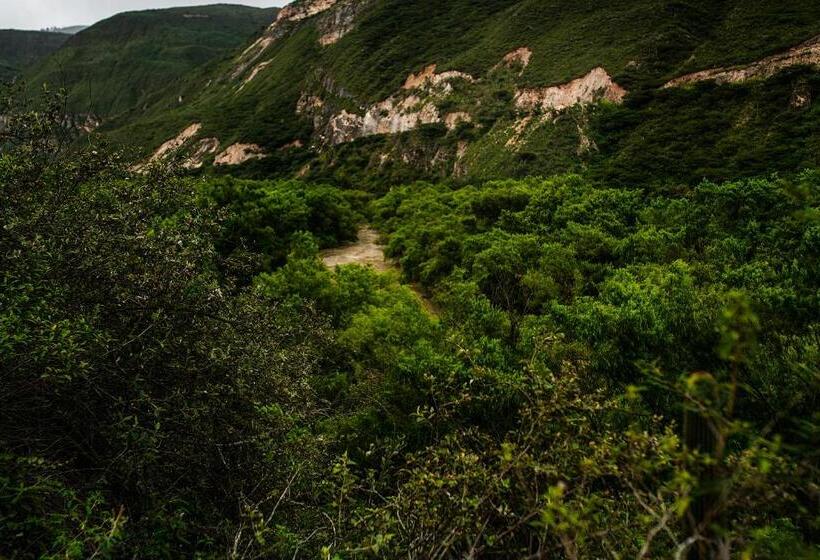 Отель Fundo Achamaqui