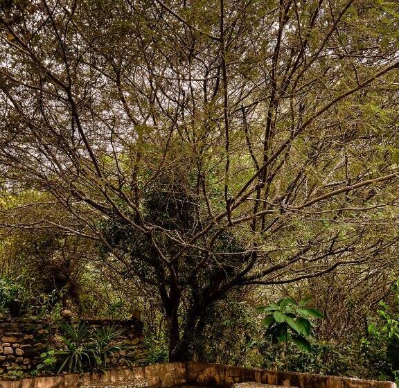 Отель Fundo Achamaqui