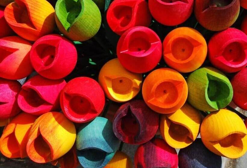 בית מלון כפרי De Koekoekshof