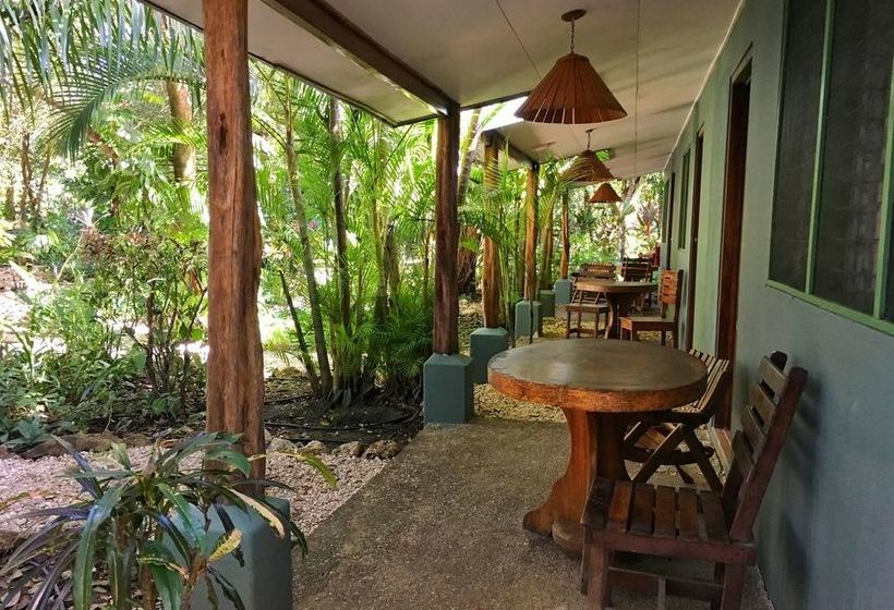 호텔 Harbor Reef Beach & Surf Resort